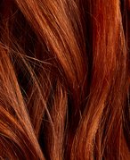 Close-up picture of reddish-orange hair